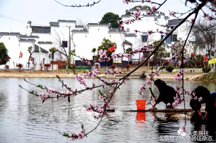 「特色小镇」国际慢城的从容境界：南京桠溪