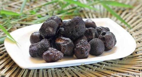 世界四大野生珍稀菌是哪四种,世界上第一大食用菌