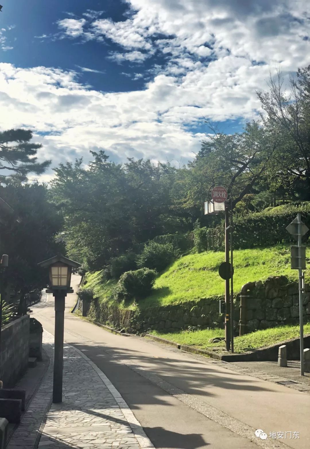 日本高品质小锦鲤,日本金泽市北陆