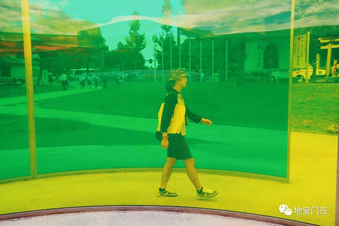 日本高品质小锦鲤,日本金泽市北陆