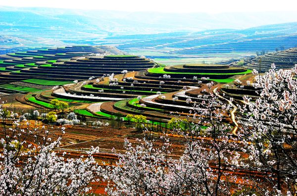 宁夏回族自治区一般包邮不,无货源内蒙和宁夏包邮吗