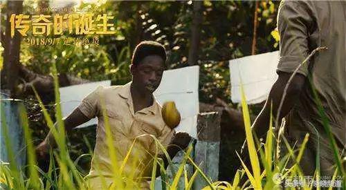 贝利《传奇的诞生》，追梦少年的逆袭之路，背后是父母的爱与支持