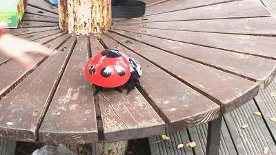 盘点那些奇葩又可爱的小玩具,那些恐怖又奇葩的玩具