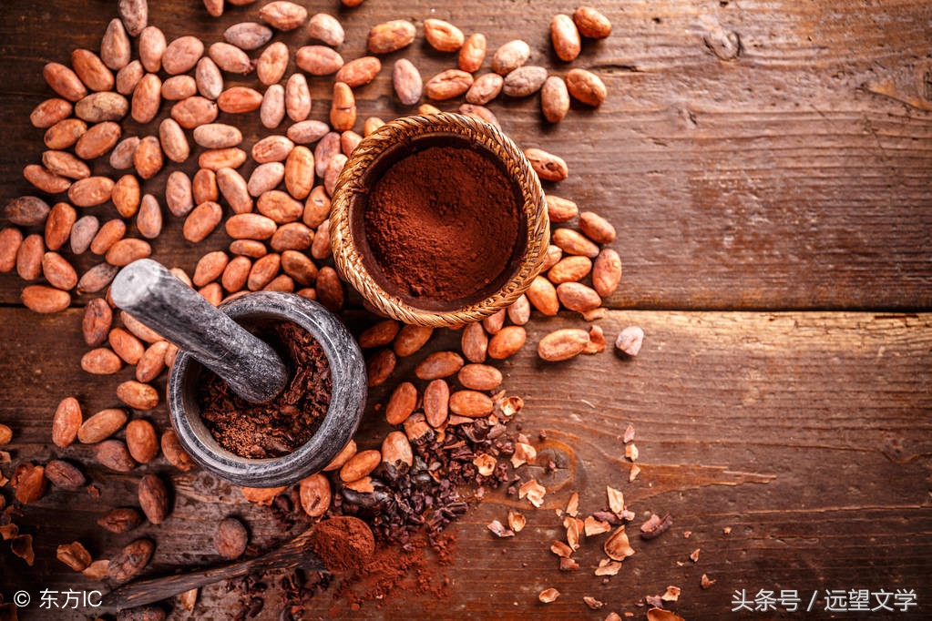 故事：阳光灿烂的日子