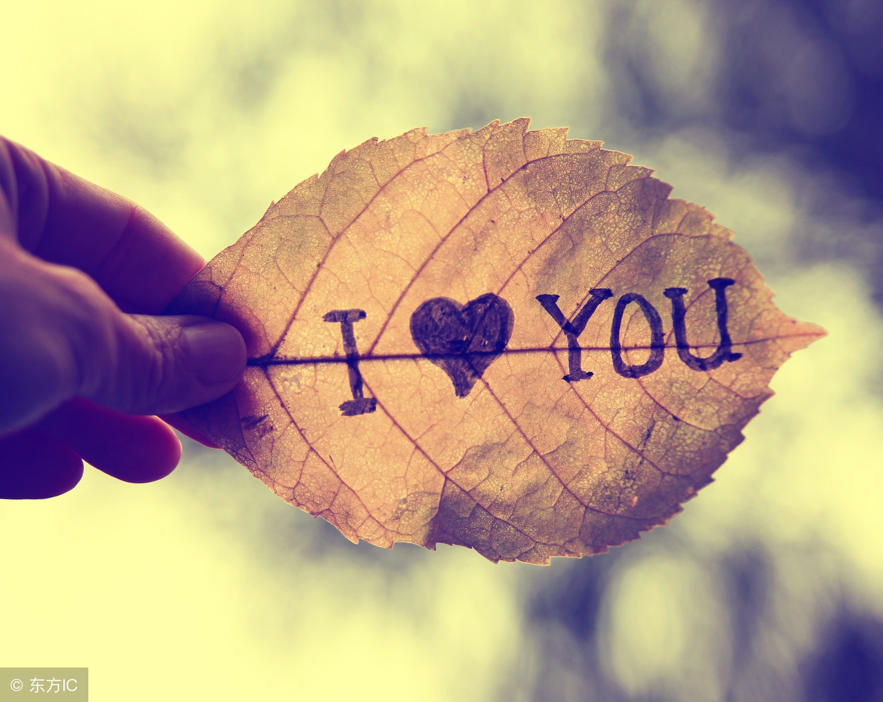 傻丫头，没了我，你怎么办……