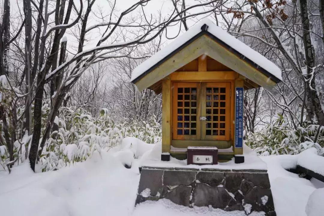 上海雪乡五日游攻略,日本雪乡一日游多少钱