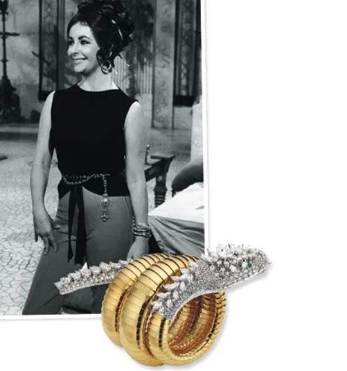 动物珠宝,精美动物珠宝