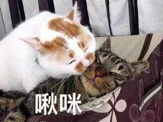 40岁还能变回20岁的容颜吗,40岁怎么样才容颜不老