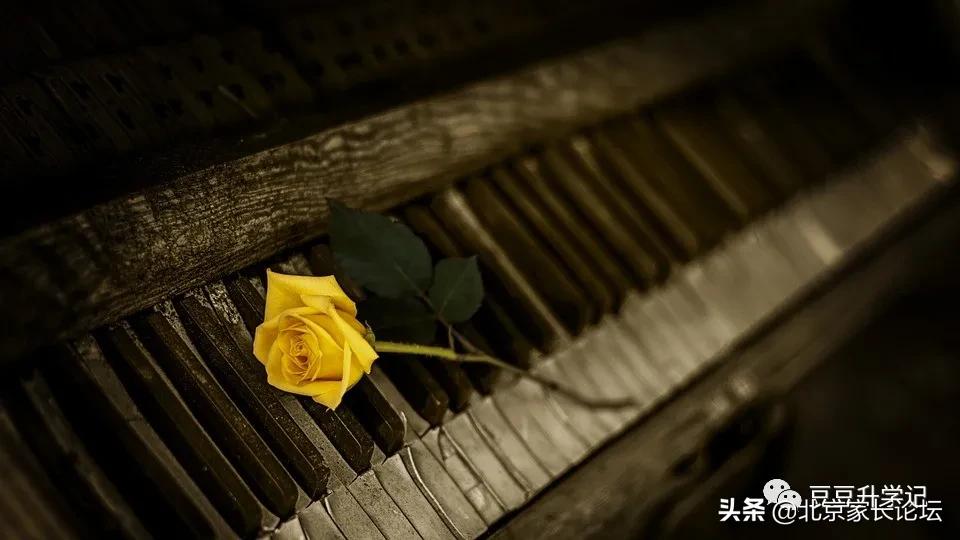 北京海淀教育有多牛,北京海淀教育靠谱吗