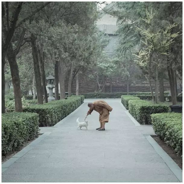 小林｜常恐秋风早，飘零君不知