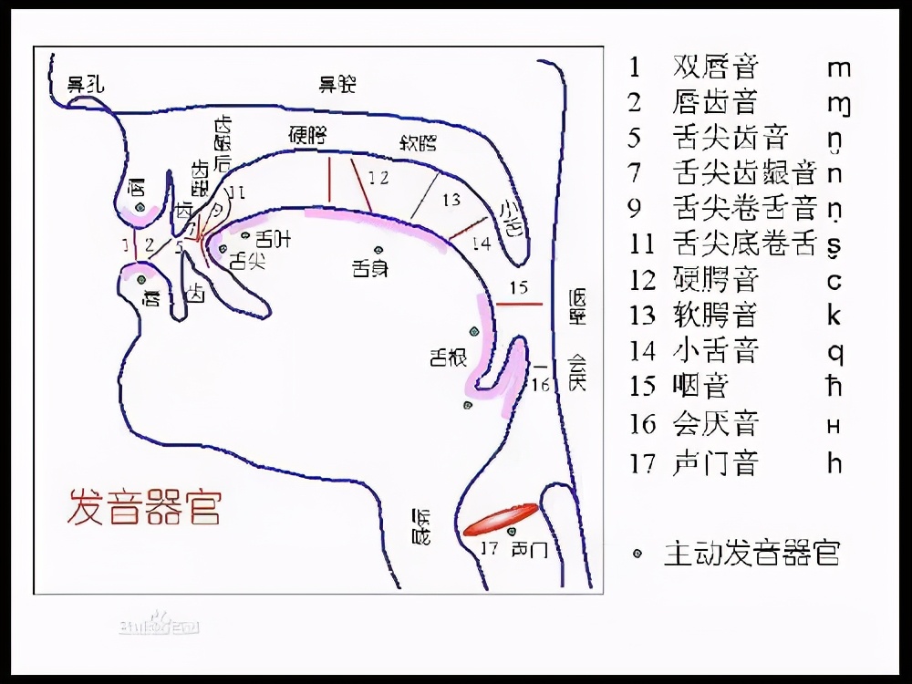 播音主持人学习吐字归音的方法,播音主持怎么避免尖音