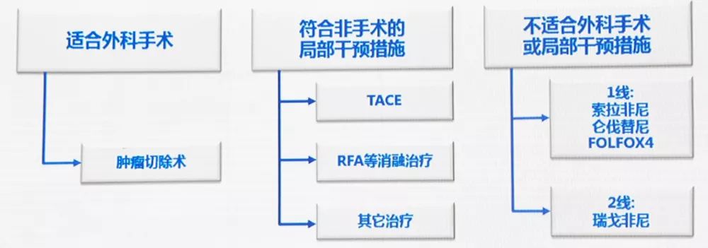 肝癌免疫疗法新进展,邵国良肝癌免疫治疗