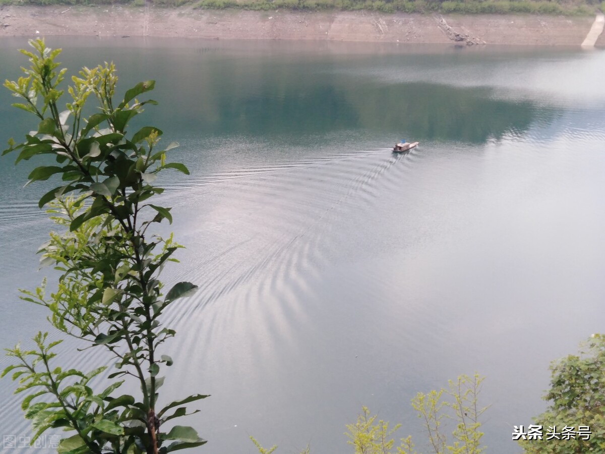 沅陵的人沈从文,沈从文湘西凤凰人