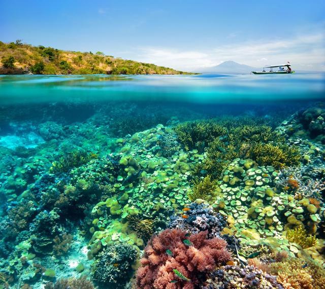 渔场牧场种田类小说,黄金渔场种田文全集