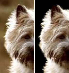 photoshopcs5怎么抠图,adobephotoshop抠图