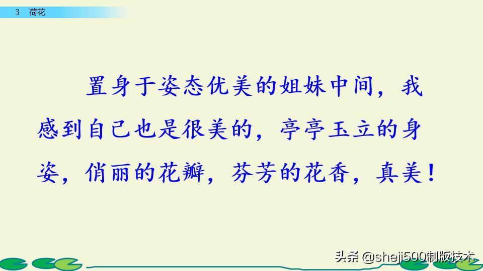 部编版三年级下册语文3荷花讲解,三年级下册部编语文荷花教学视频