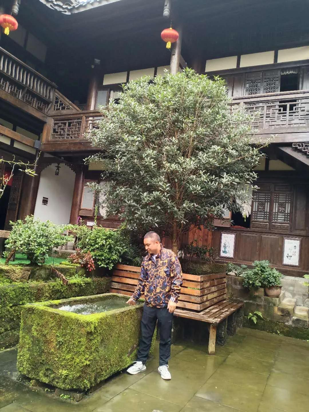 涪陵大顺乡柏树林,涪陵大顺乡柏坪