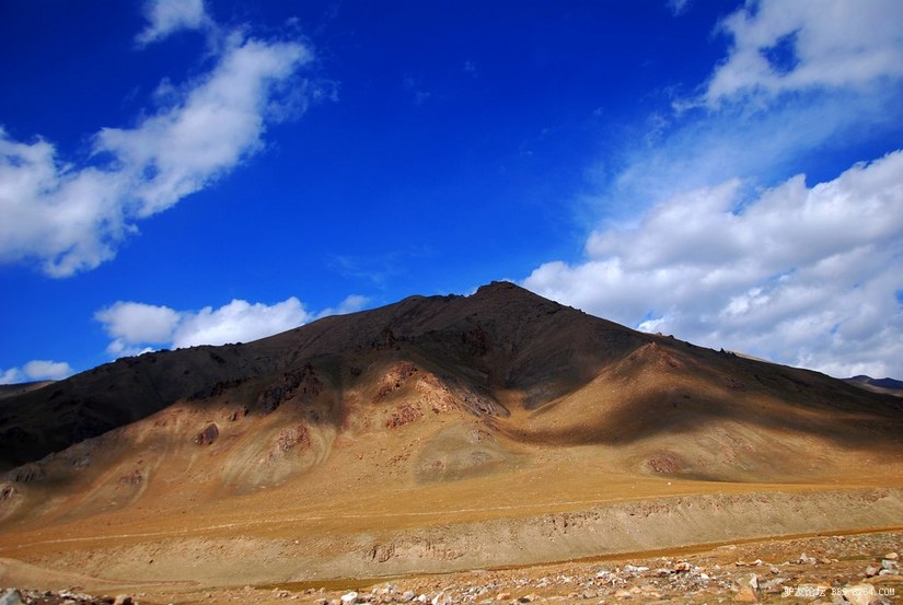 狼c调简谱教唱,狼c