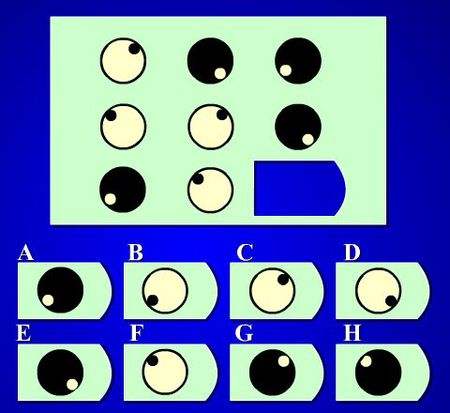 东亚人最聪明非洲人最笨？别信！这是历史遗留的问题