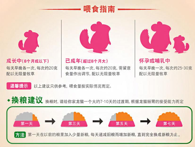 每个人心里都有只龙猫,每个人心中都有一只猫