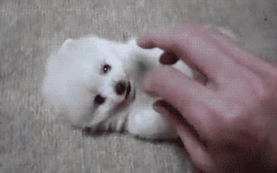 我劝你别买奔驰e,小ck建议买吗