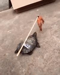 开心一刻gif下雨天,搞笑gif笑到肚子疼意外瞬间特辑