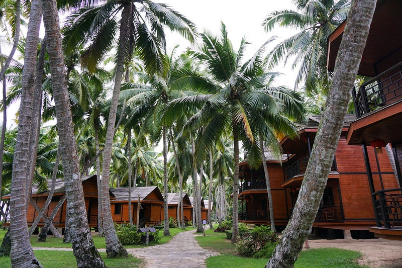 海南租车需要什么手续,海南三亚神州租车价格