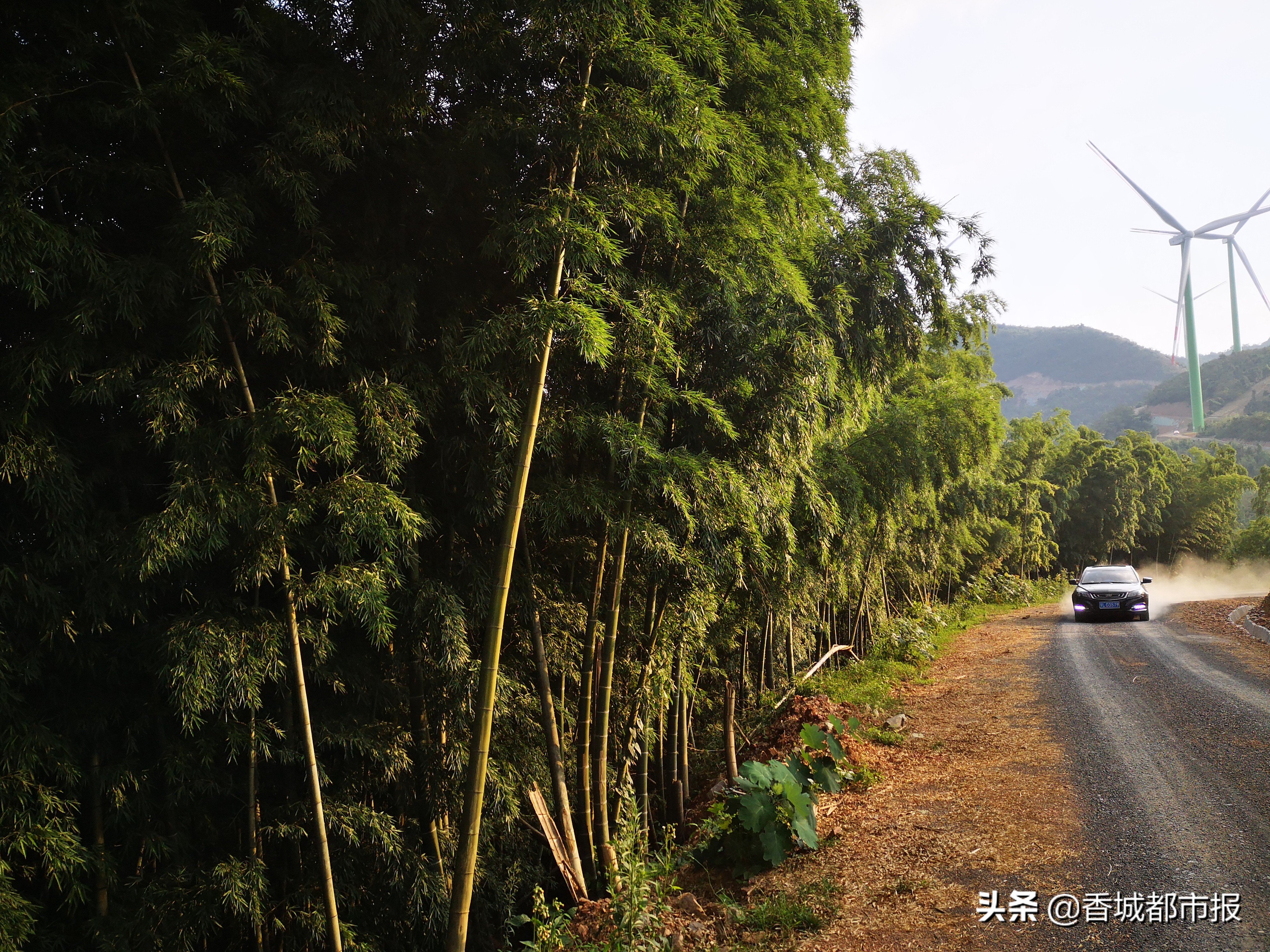 当好店小二,当好店小二服务企业