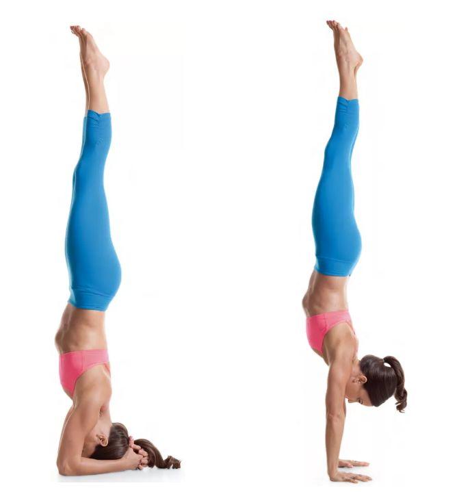 小朋友练习倒立的技巧,慢起肘倒立练习技巧