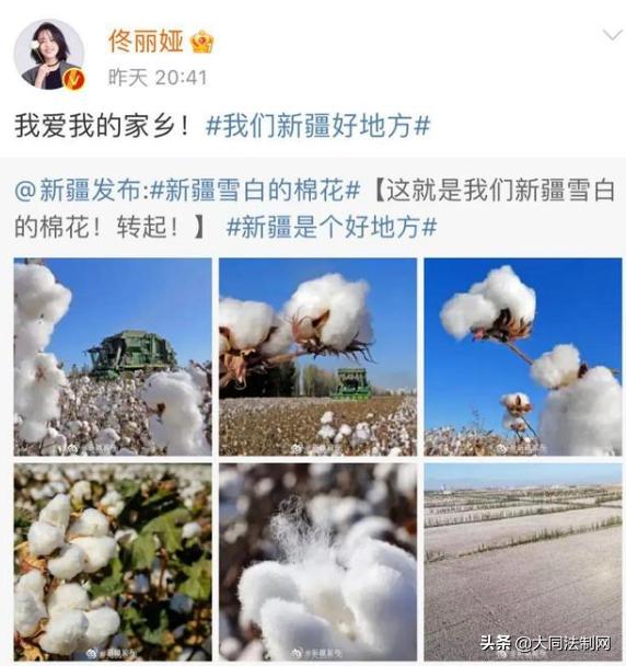 为新疆棉花事件解约的艺人,因新疆棉花解约的明星