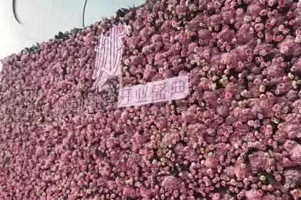 范冰冰美容院开业声势,范丞丞范冰冰美容院