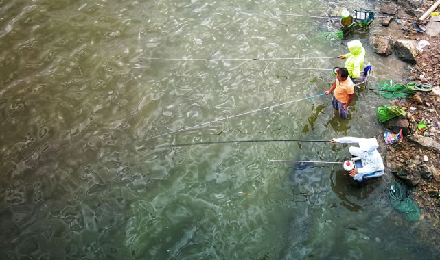钓鱼的最高境界完整视频 (钓鱼人通病你中了几条)