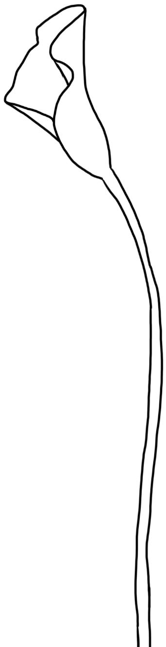 华润物业业务部,华润物业招标