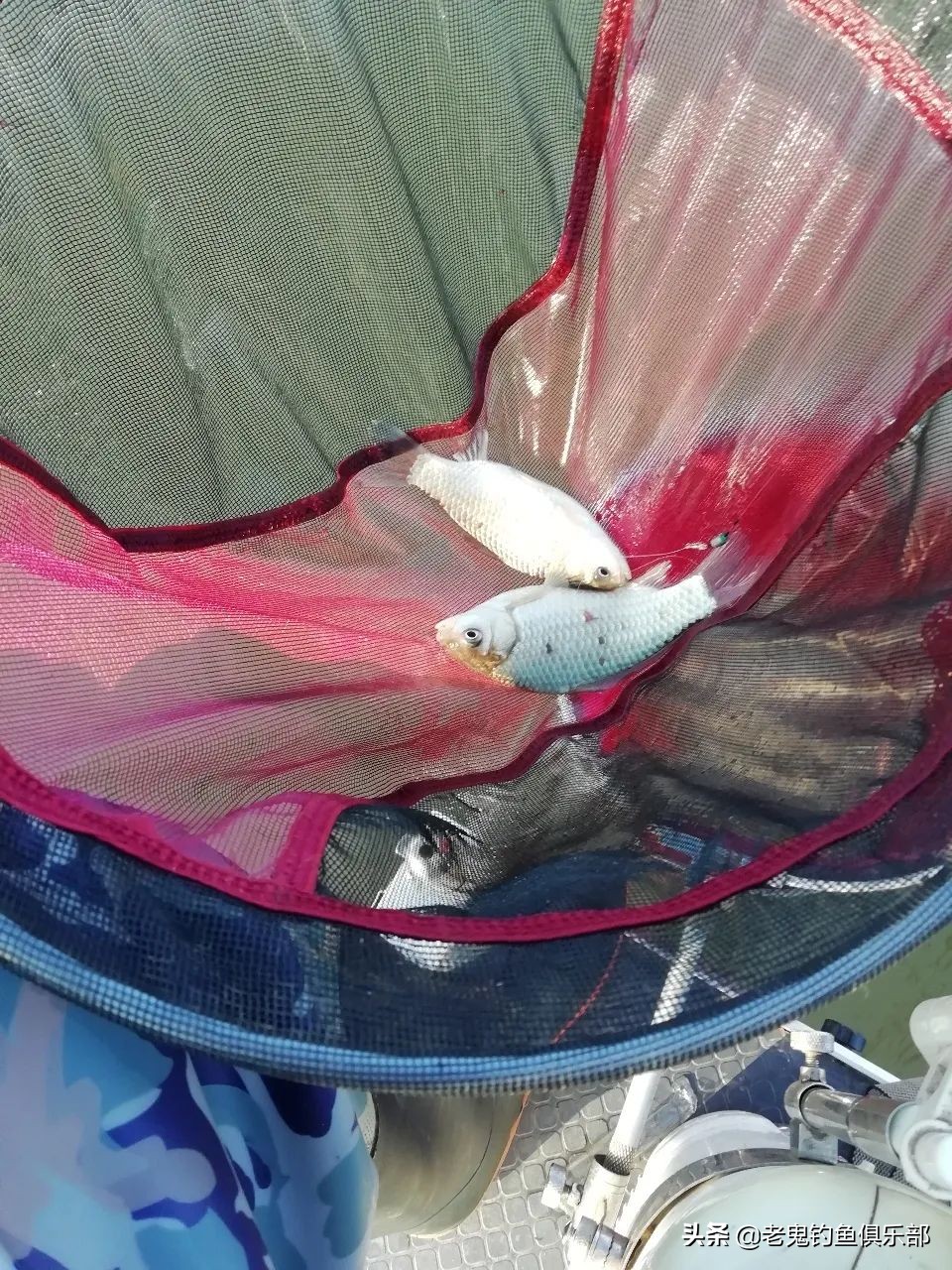 陌生环境作钓，带上九一八就错不了