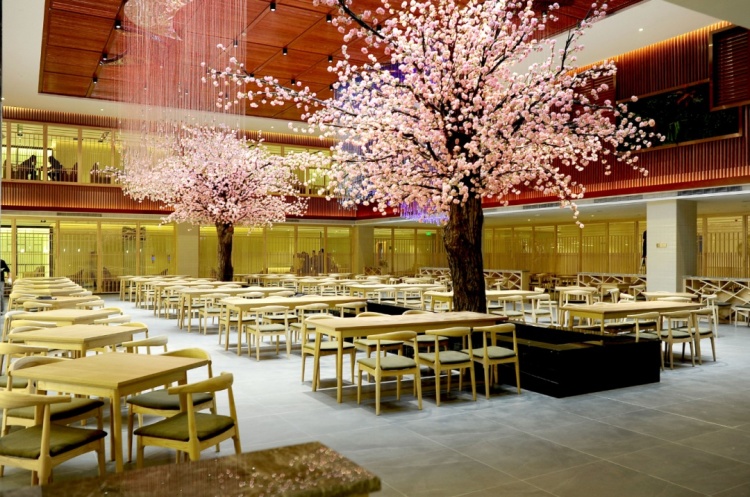 成都洞穴温泉哪里好,成都温泉汤乐汇