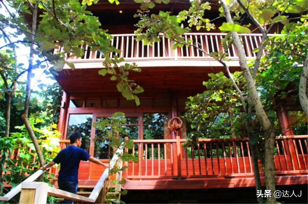 小天越南直播,小天独家视频全集