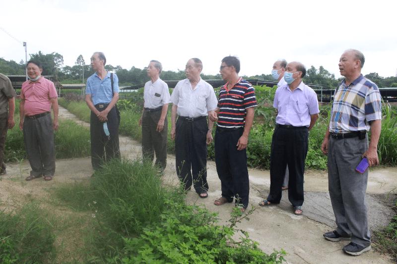 养殖鸵鸟致富,农村致富好帮手鸵鸟养殖