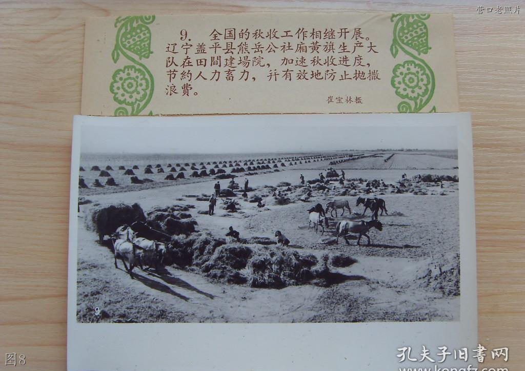 营口熊岳铁东小学老照片,营口熊岳老地图