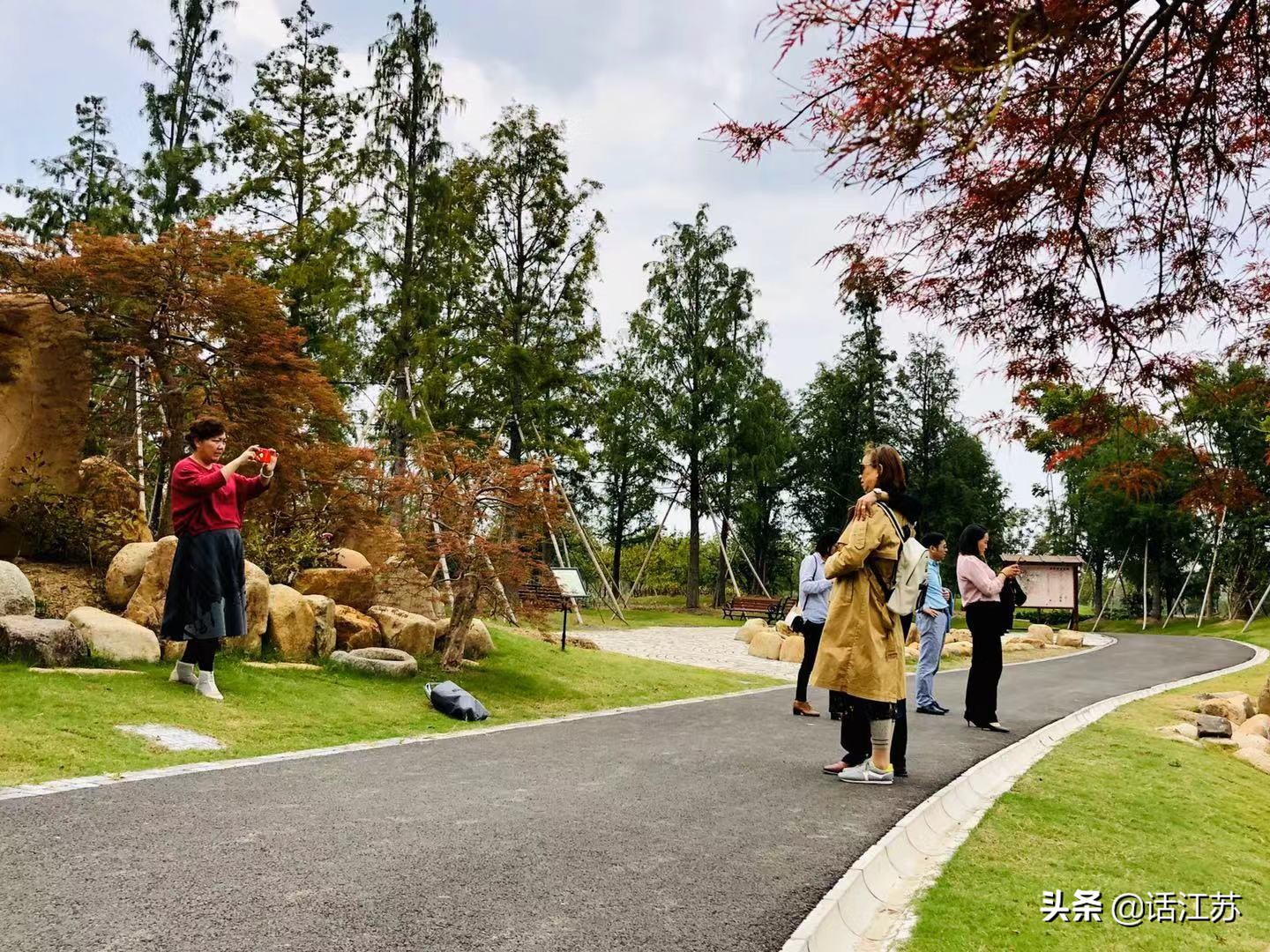 南京赏花的地方有哪里,南京赏花踏青