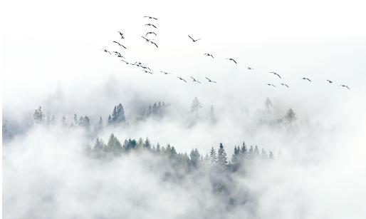 民间谚语二十句句句精辟,一年四季俗语有哪些