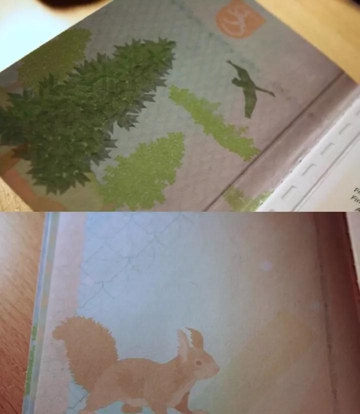 全球十大顶级国际护照,世界最美护照国家