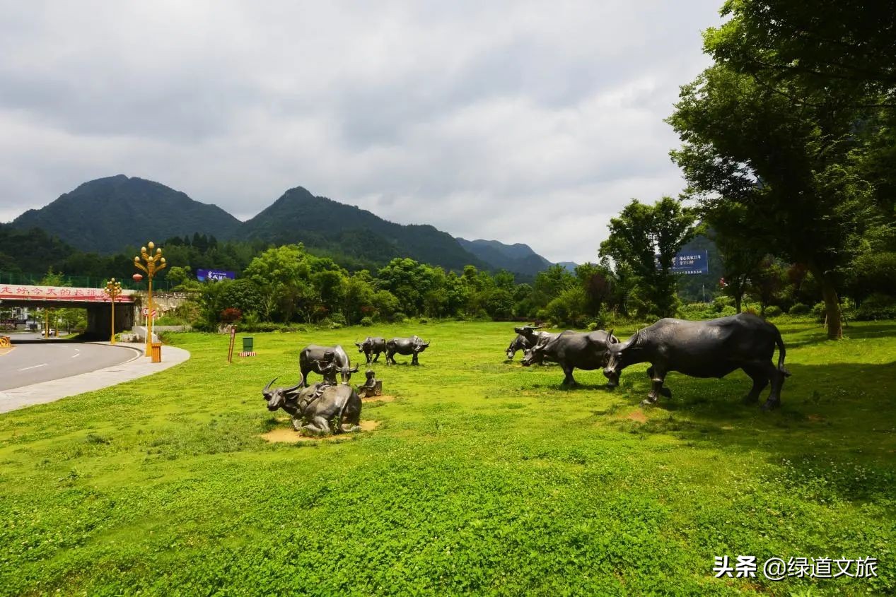 这个康养度假区投资20亿，占地1000亩，是中国上佳康养旅居度假区