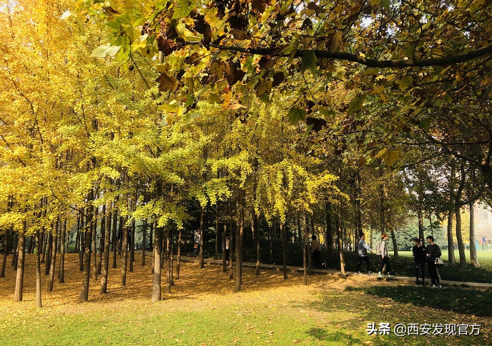 西安欧亚学院是贵族大学吗,西安欧亚学院属不属于全日制本科