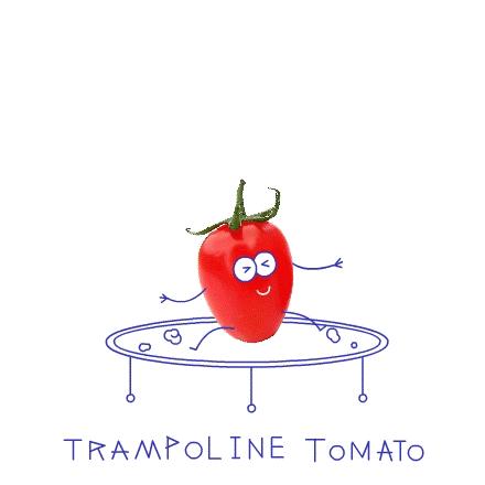 晚上吃什么水果能帮助减肥瘦身,减肥晚上喝酸奶好还是吃水果好