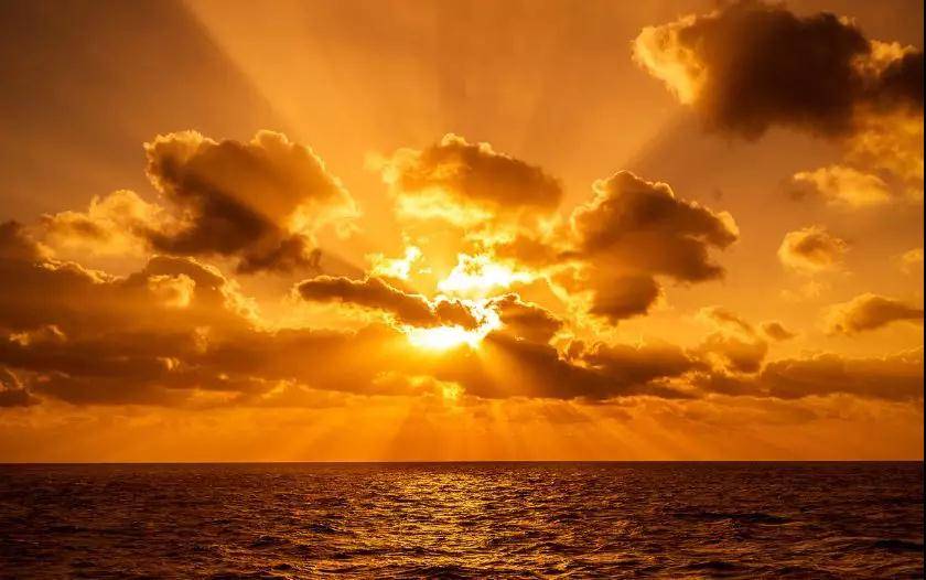 广东小帕劳,下川岛小帕劳