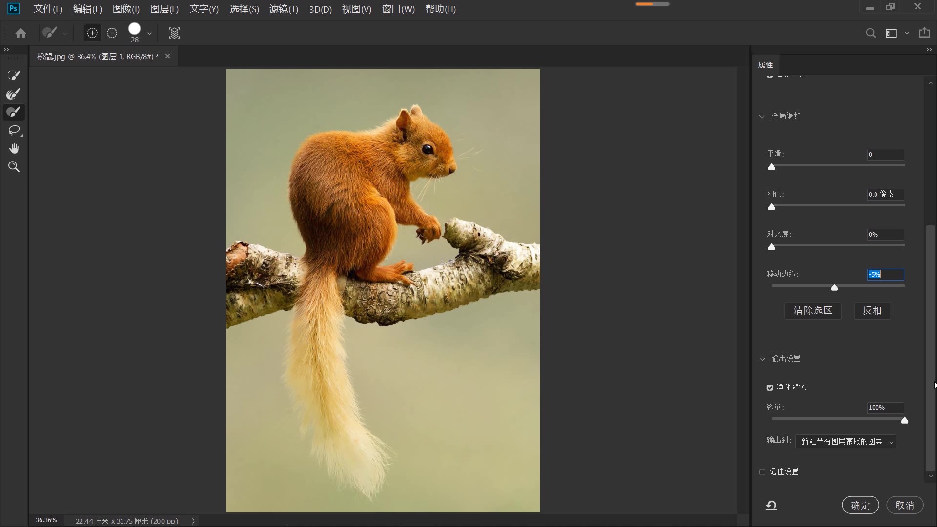 ps抠图动物最快又完整的方法,ps抠图教程动物毛发新手