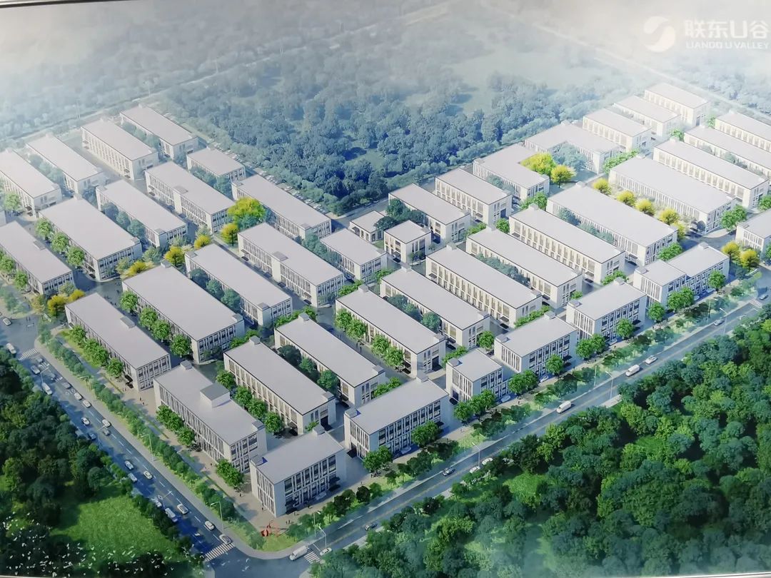 如期而至再创辉煌,如期而至新品呈现