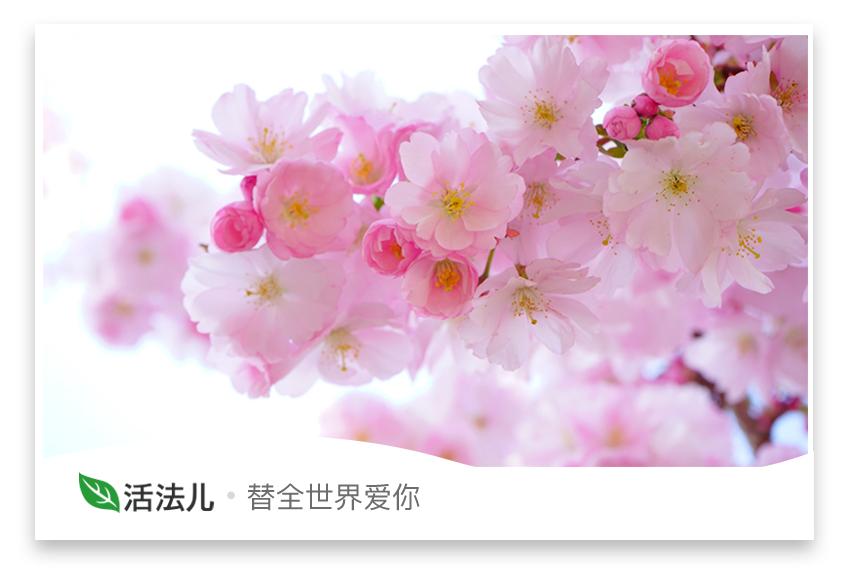 调理月经的最好办法零基础自学,各种方法调理月经