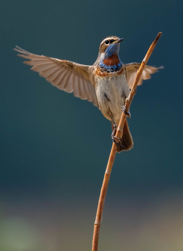 情人岛拍摄地点,情人岛航拍视频