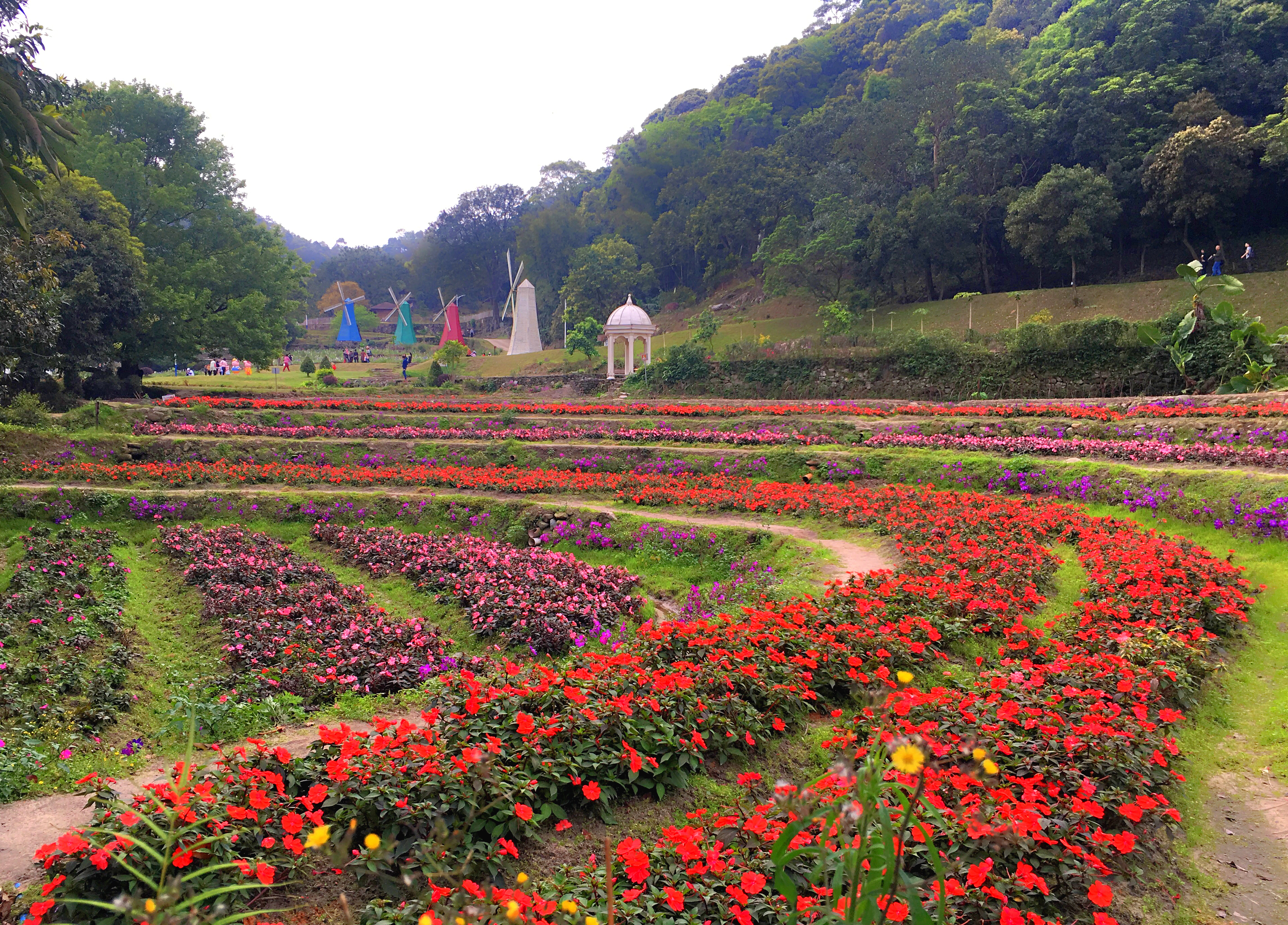 广州自驾团队,广州团队定制旅游
